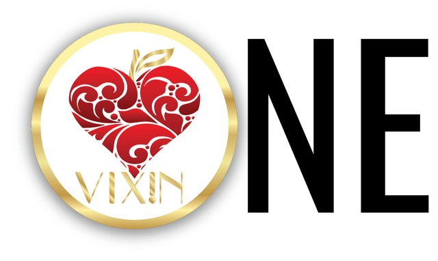 One Vixin Logo