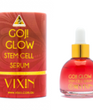 Winter On The Glow - VIXIN Bundle