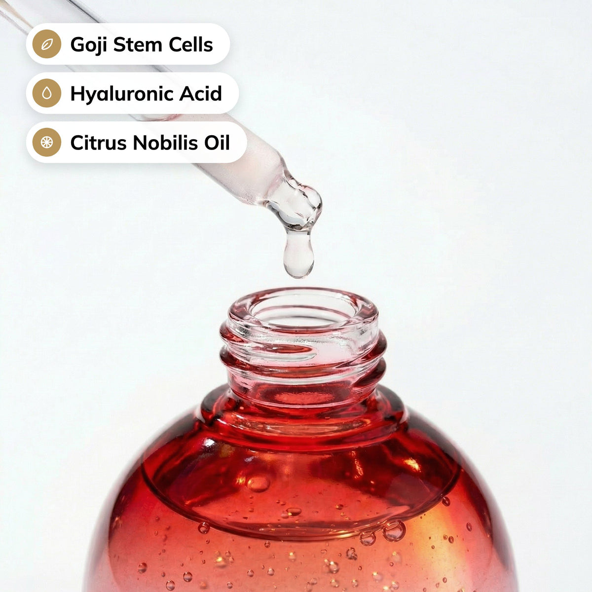 Goji Glow serum with Goji Stem Cells, Hyaluronic Acid and Citrus Nobilis Oil
